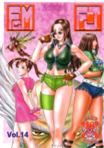 Fighters Gigamix - 14