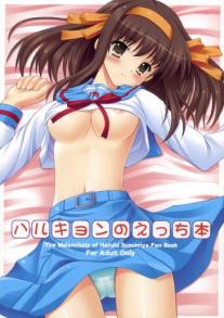 Harukyon no Ecchi Hon 1
