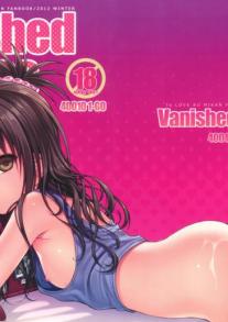 Vanished Panties