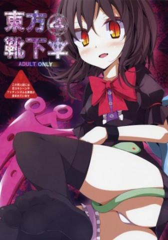Touhou Socks Book 4